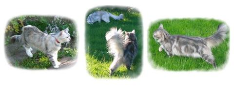 zoe-tammy-montage0807b