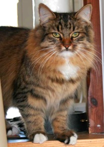 Poenna_Hera_20100418b